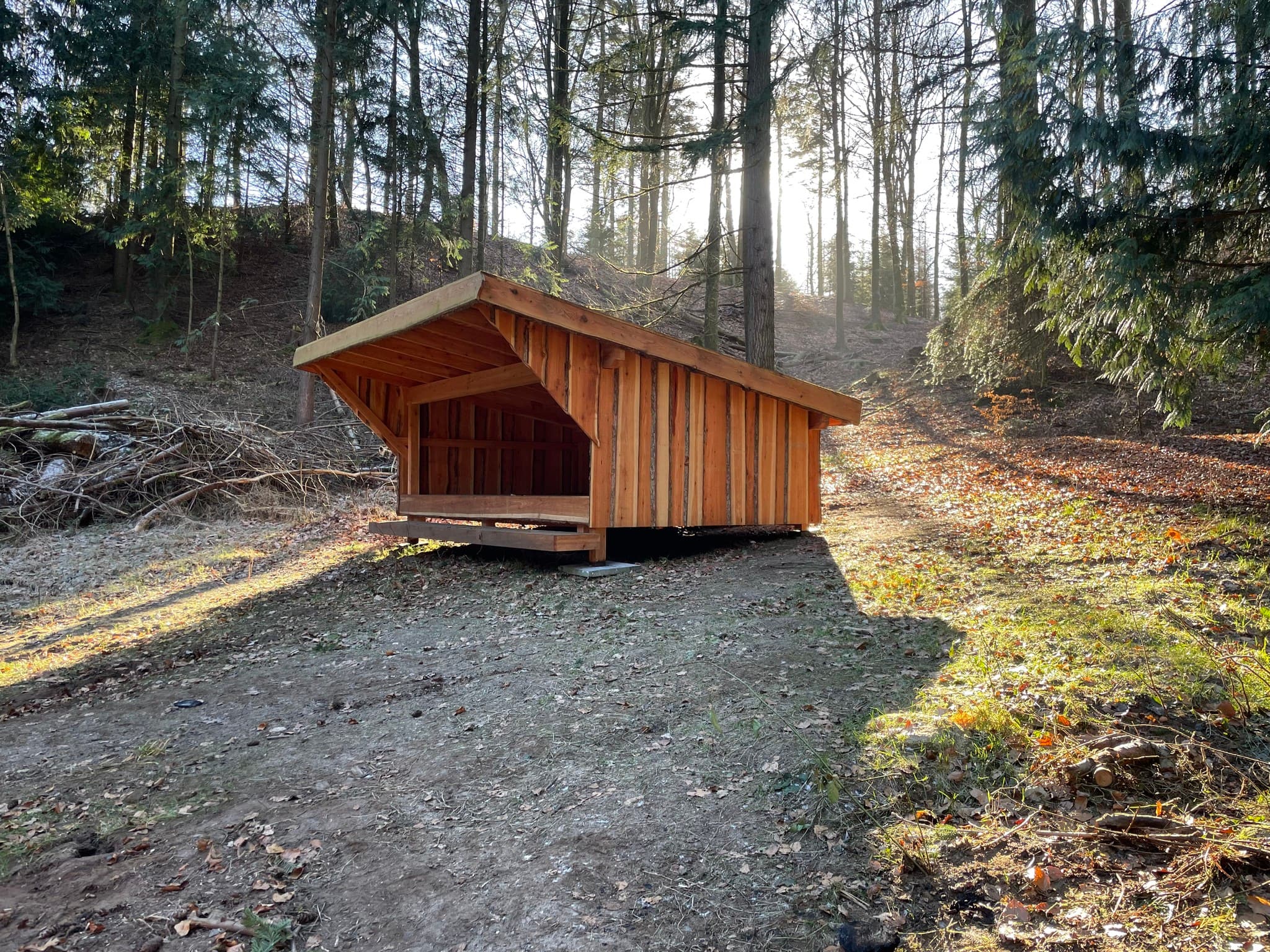 Shelter i skov